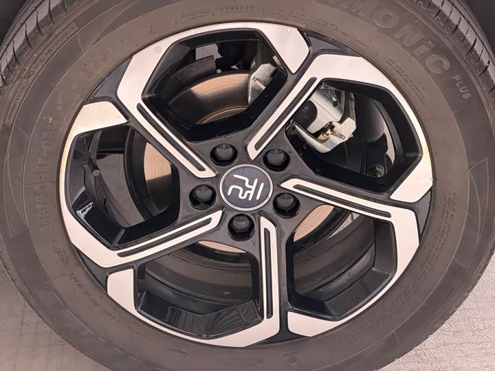 BYD Yuan Plus 2025 2025款 智驾版 510KM 领先型