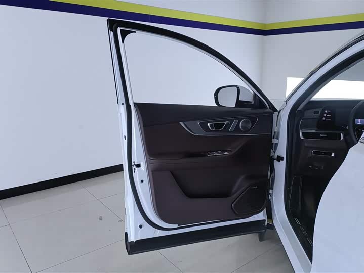 Chery Tiggo 8 Pro 2024 2024款 冠军版 290T 两驱巅峰版 7座
