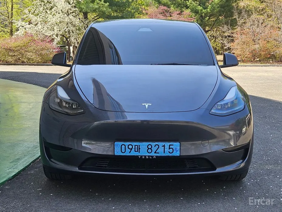 Tesla Model Y 2020 RWD