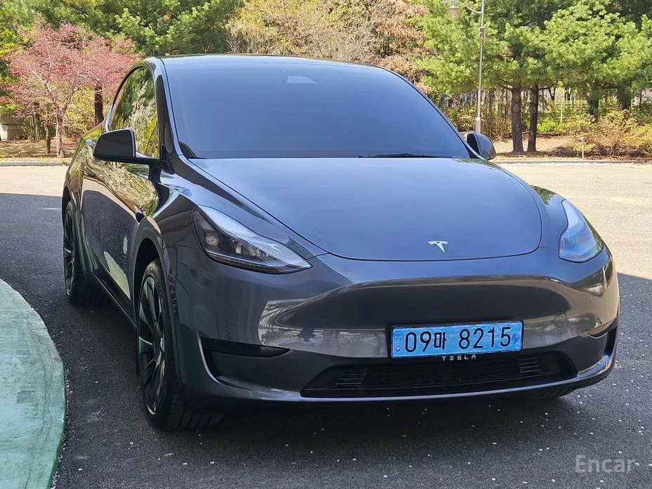 Tesla Model Y 2020 RWD