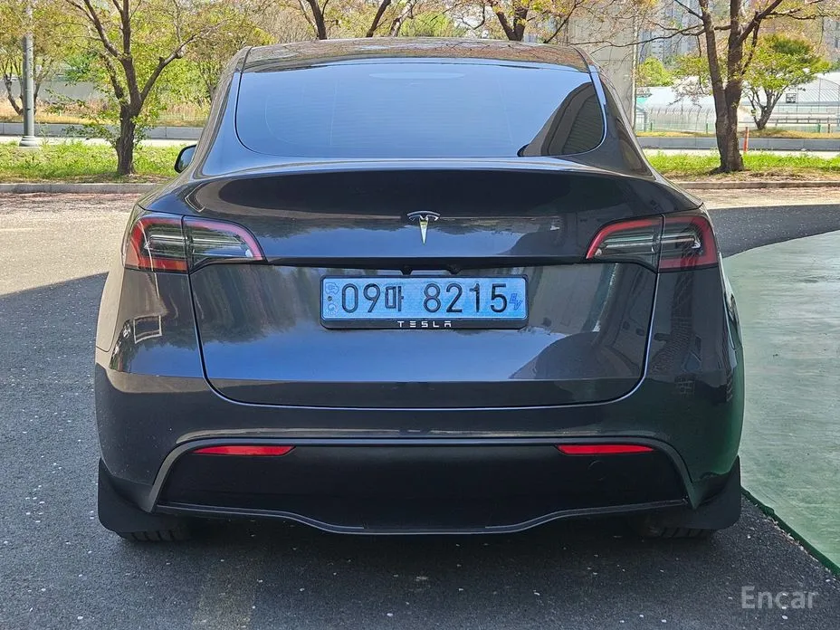 Tesla Model Y 2020 RWD