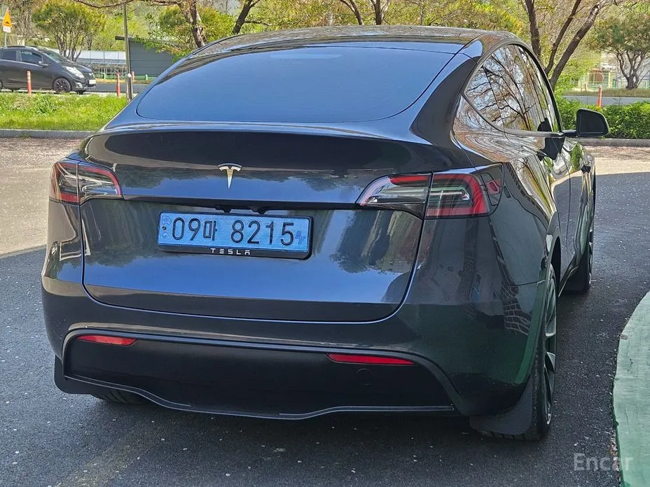 Tesla Model Y 2020 RWD