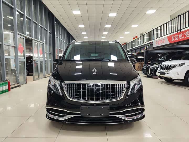 Mercedes-Benz V-Class 2021 2021款 V 260 领航版