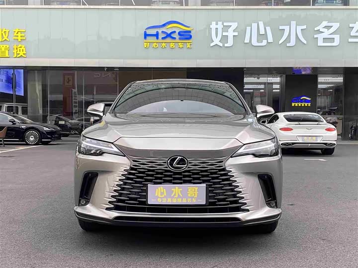 Lexus RX 2023 2023款 350h 两驱悦享版