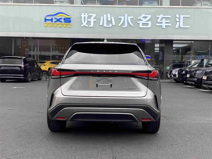 Lexus RX 2023 2023款 350h 两驱悦享版