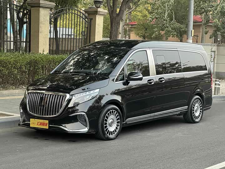 Mercedes-Benz V-Class 2022 2022款 V 260 L 长轴距豪华版