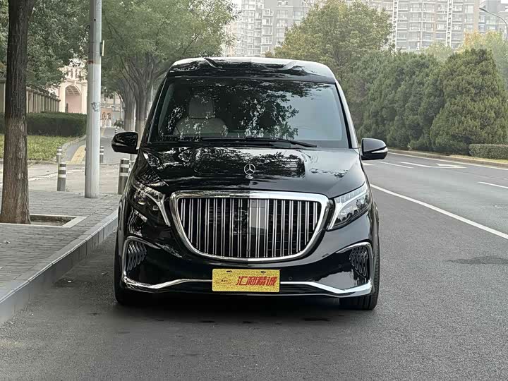 Mercedes-Benz V-Class 2022 2022款 V 260 L 长轴距豪华版