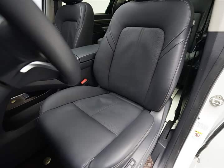 GAC Trumpchi M8 2021 2021款 领秀系列 390T 至尊版