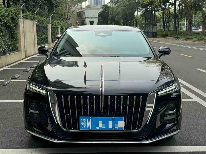 Zdjęcie 3 - Hongqi H5