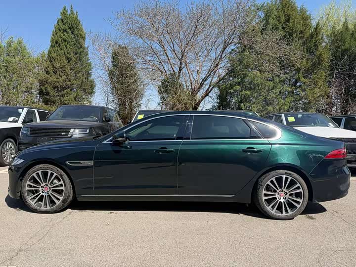 Jaguar XF L 2024 2024款 2.0T P250 两驱尊享豪华版