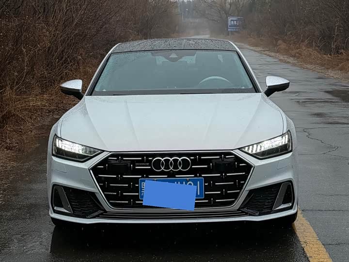 Audi A7L 2025 2025款 45 TFSI quattro 奢享型