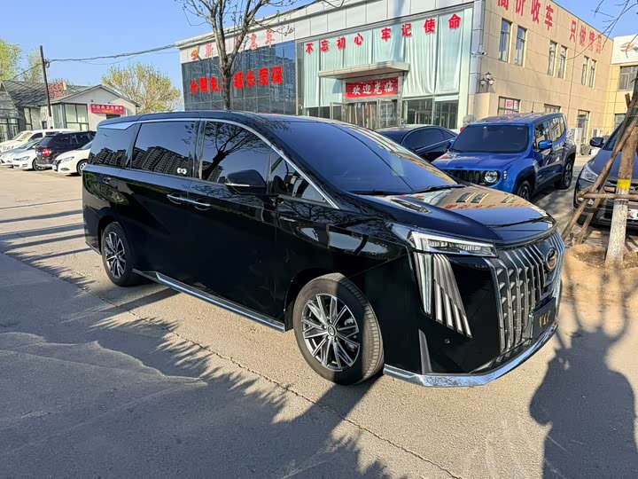 Фото 3 - GAC Trumpchi M8