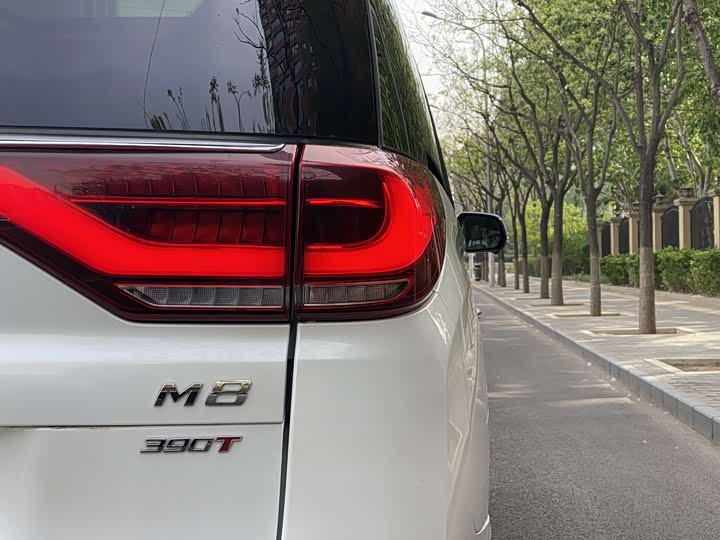 Фото 9 - GAC Trumpchi M8