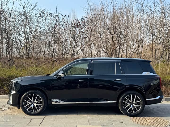 Фото 3 - GAC Trumpchi GS8