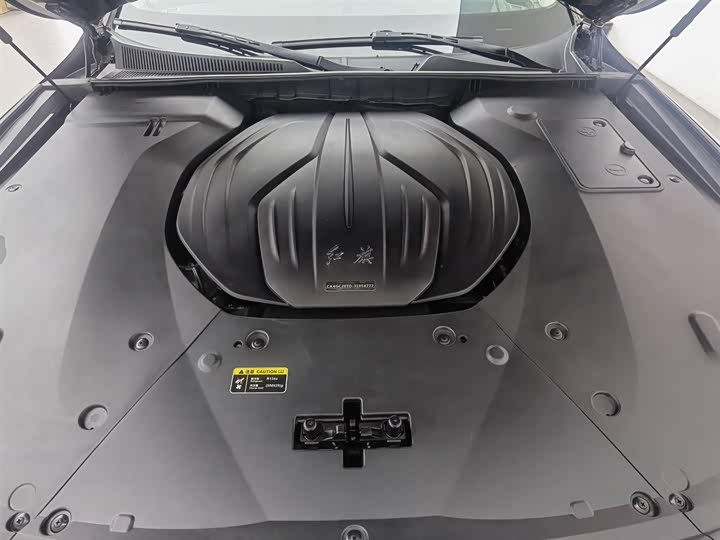 Фото 6 - Hongqi H9