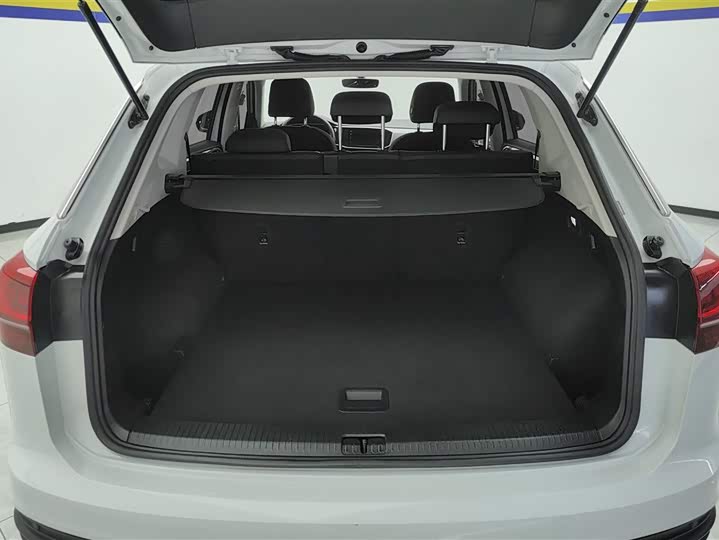Volkswagen Tayron 2020 2020款 330TSI 两驱豪华智联版