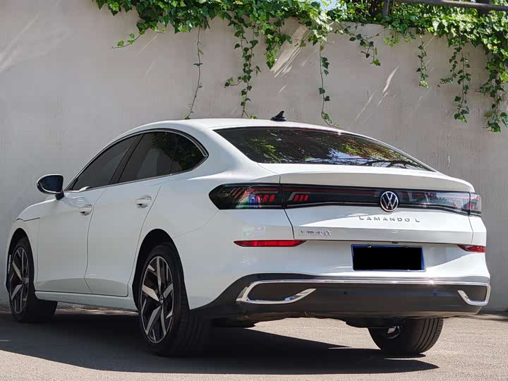 Фото 7 - Volkswagen Lamando L