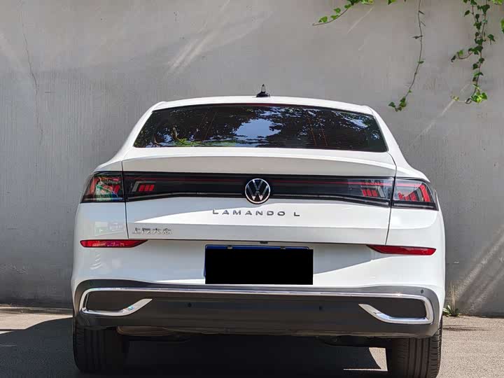 Фото 8 - Volkswagen Lamando L