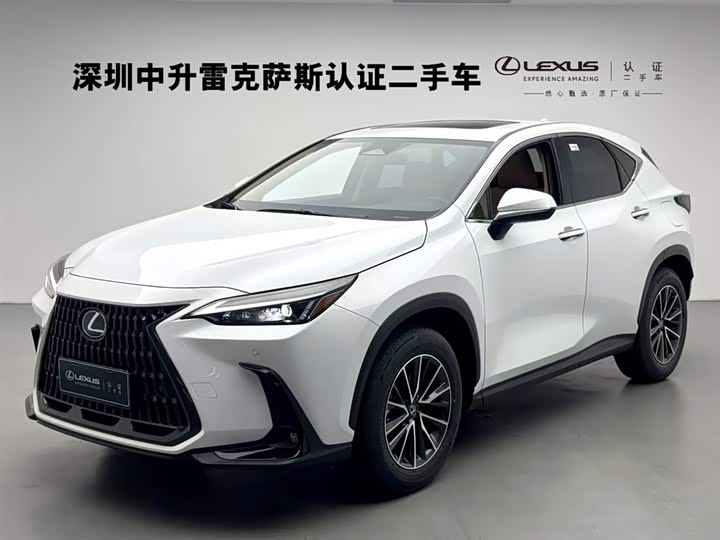 Lexus NX 2025 2025款 200 FUN