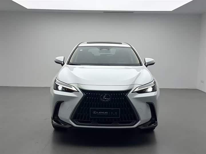 Lexus NX 2025 2025款 200 FUN