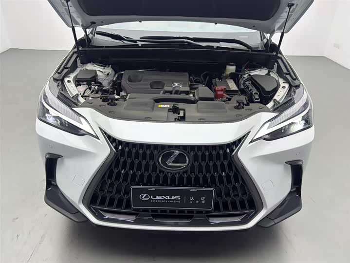 Lexus NX 2025 2025款 200 FUN