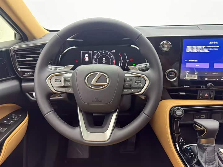 Lexus NX 2025 2025款 200 FUN