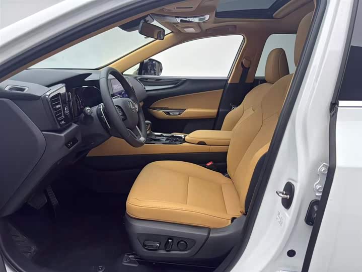 Lexus NX 2025 2025款 200 FUN