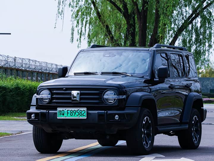 Tank 300 Hybrid 2025 2025款 Hi4-T 37.1kWh