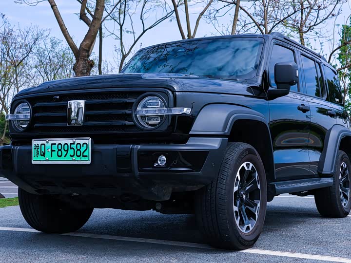 Tank 300 Hybrid 2025 2025款 Hi4-T 37.1kWh