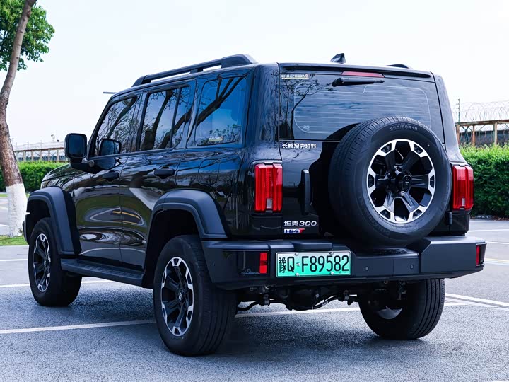 Tank 300 Hybrid 2025 2025款 Hi4-T 37.1kWh