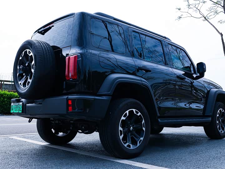 Tank 300 Hybrid 2025 2025款 Hi4-T 37.1kWh