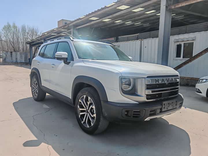 Фото 3 - Haval Dargo