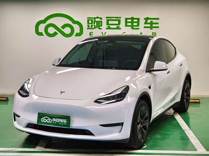 Tesla Model Y 2024 2024款 长续航全轮驱动版