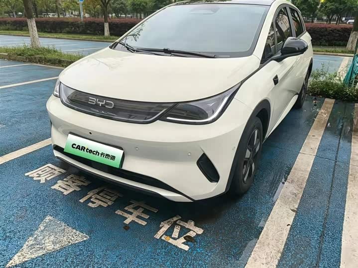 2025 BYD Dolphin