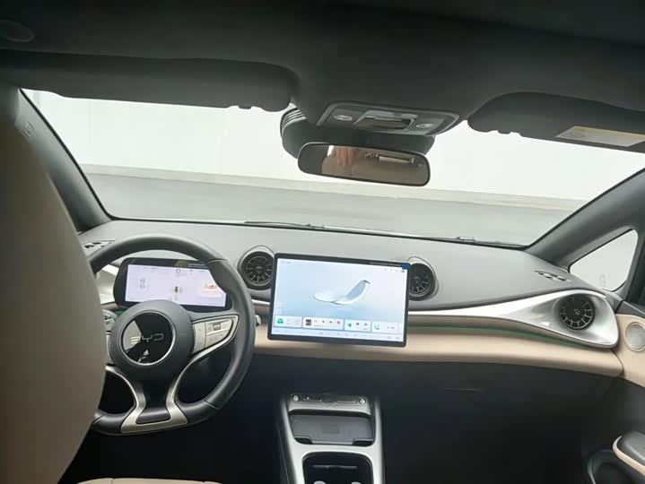 2025 BYD Dolphin