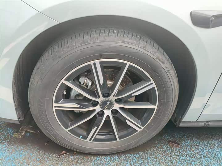 BYD Dolphin 2025 2025款 智驾版 410km 时尚版