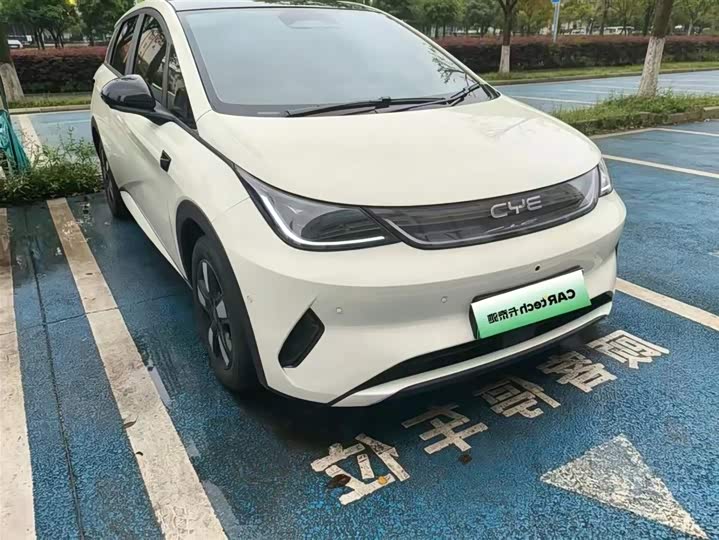 BYD Dolphin 2025 2025款 智驾版 410km 时尚版