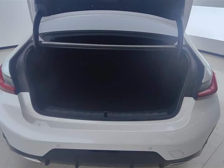 BMW 3 Series 2025 2025款 325Li M运动套装
