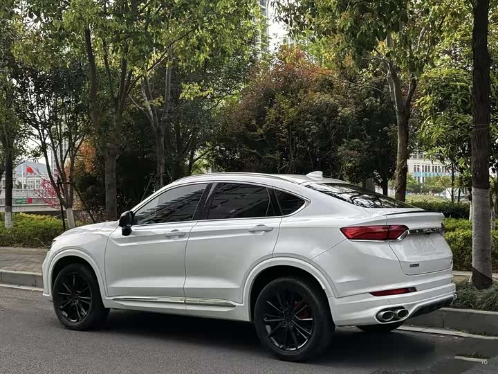 Geely Tugella S 2021 2021款 2.0TD DCT两驱闪电版