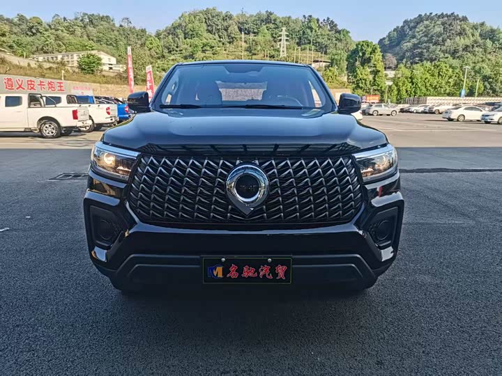 Great Wall Pao 2024 2024款 2.4T商用版自动柴油四驱精英型