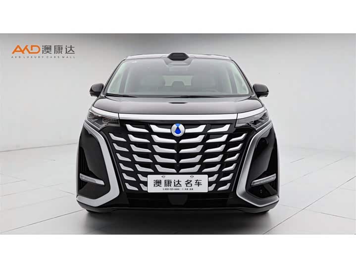 Denza D9 2025 2025款 DM-i 智驾版 1020 四驱旗舰型