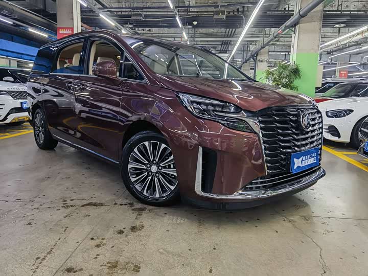 Zdjęcie 3 - Buick GL8 ES