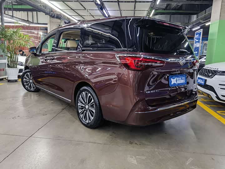 Zdjęcie 4 - Buick GL8 ES