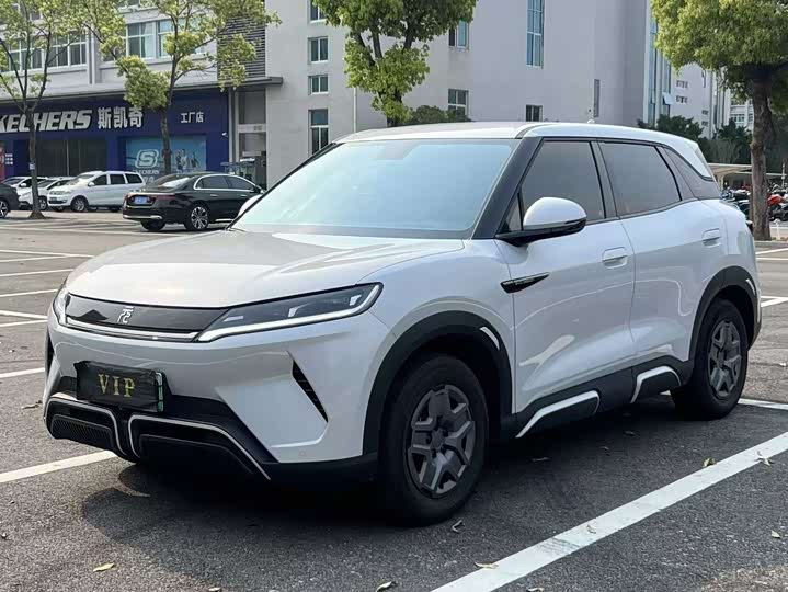 BYD Yuan Up 2024 2024款 301KM 领先型