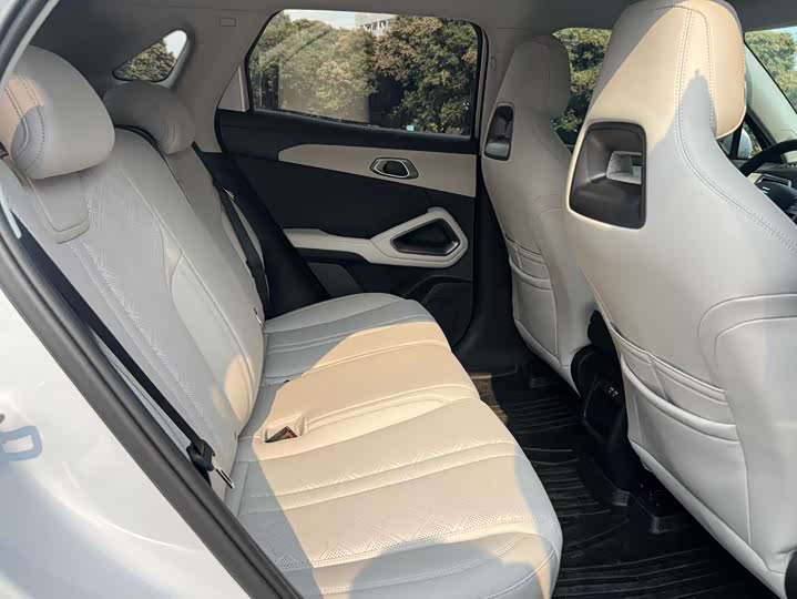 BYD Yuan Up 2024 2024款 301KM 领先型