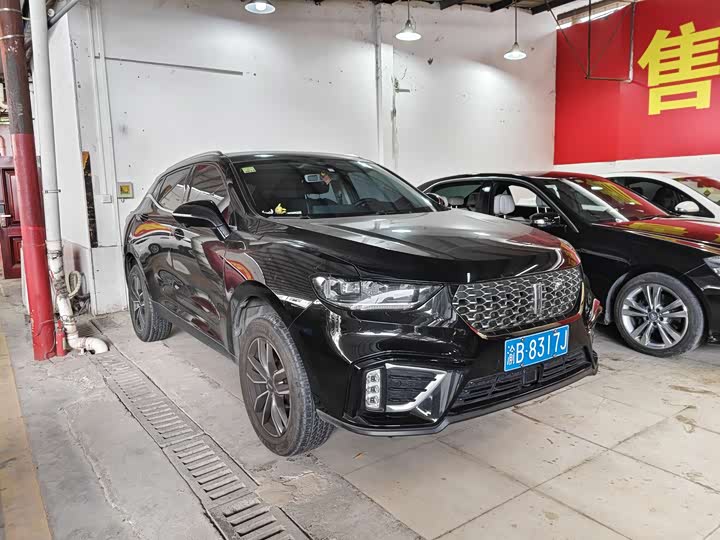 Wey VV5 2021 2021款 1.5T 两驱颜先锋