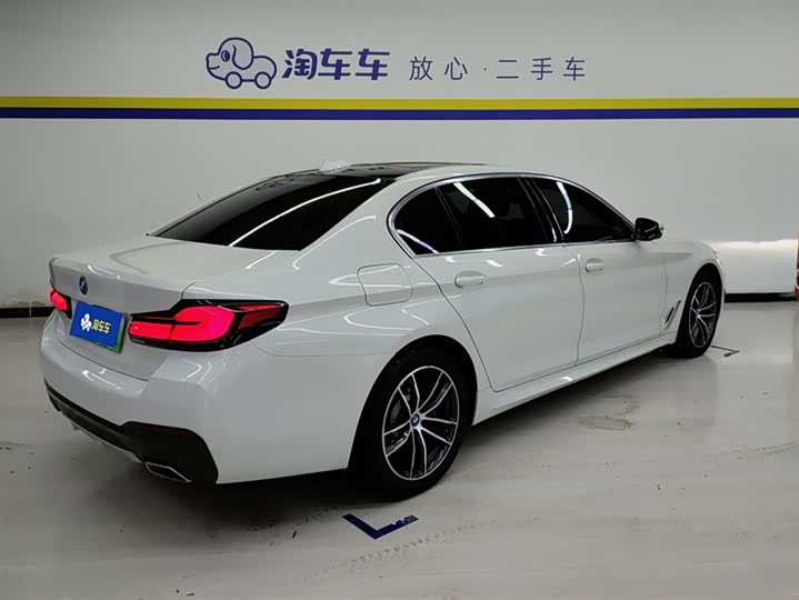 Фото 3 - BMW 5 Series Hybrid
