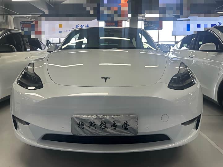 Tesla Model Y 2022 2022款 Performance高性能全轮驱动版