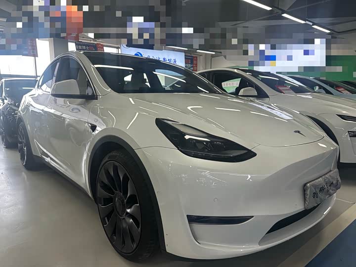 Tesla Model Y 2022 2022款 Performance高性能全轮驱动版