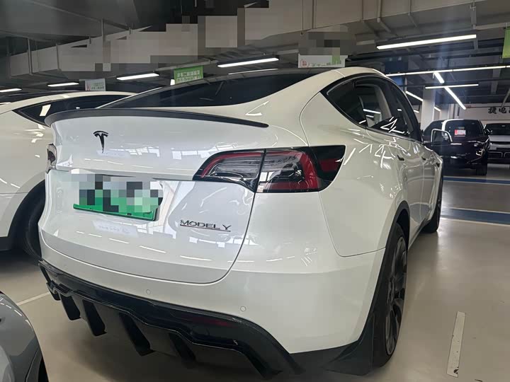 Tesla Model Y 2022 2022款 Performance高性能全轮驱动版
